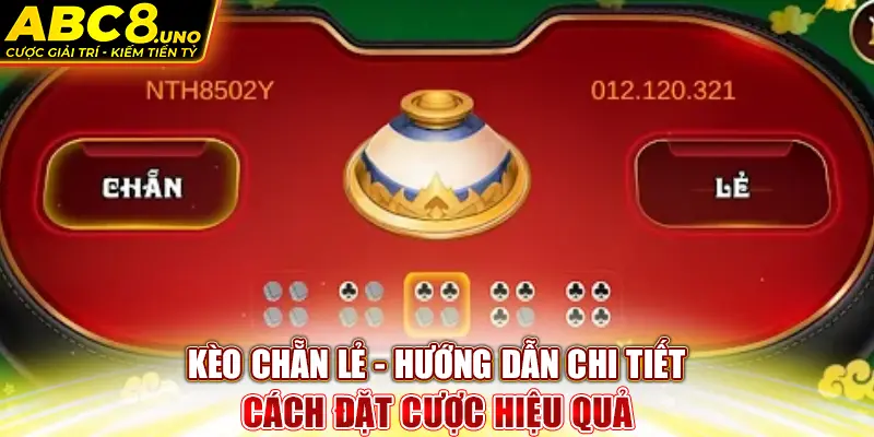 keo-chan-le-huong-dan-chi-tiet-cach-dat-cuoc-hieu-qua