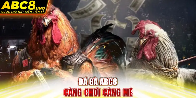 da-ga-abc8-cang-choi-cang-me