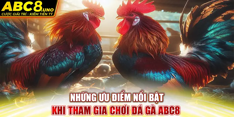 nhung-uu-diem-noi-bat-khi-tham-gia-choi-da-ga-abc8-