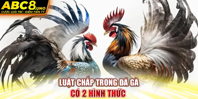 luat-chap-trong-da-ga-co-2-hinh-thuc-