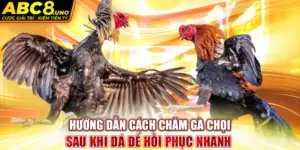 huong-dan-cach-cham-ga-choi-sau-khi-da-de-hoi-phuc-nhanh-