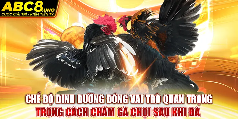 che-do-dinh-duong-dong-vai-tro-quan-trong-trong-cach-cham-ga-choi-sau-khi-da-