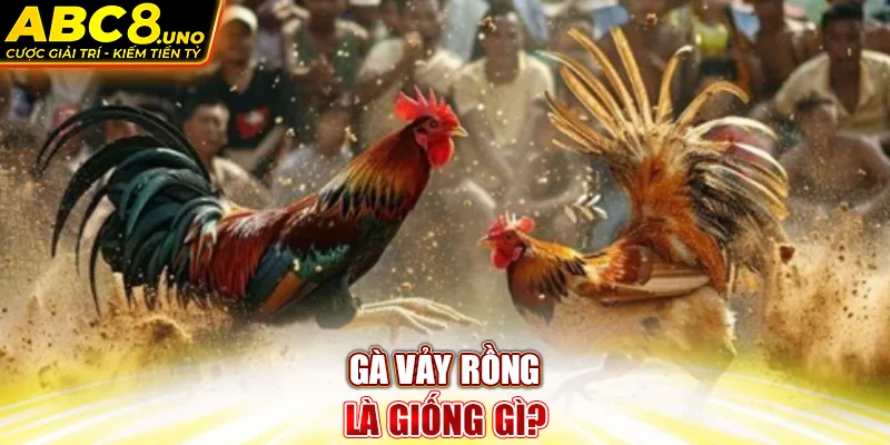 ga-vay-rong-la-giong-gi-