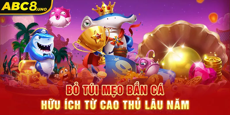 bo-tui-meo-ban-ca-huu-ich-tu-cao-thu-lau-nam