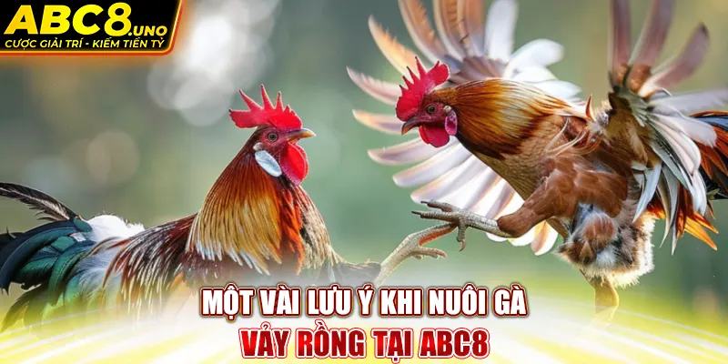 mot-vai-luu-y-khi-nuoi-ga-vay-rong-tai-abc8