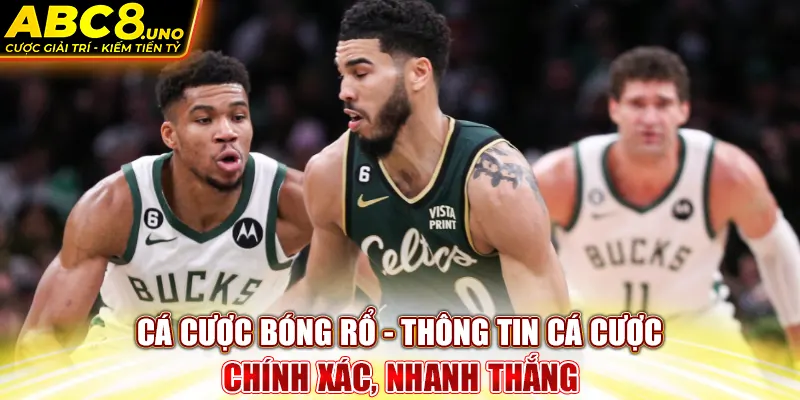 ca-cuoc-bong-ro-thong-tin-ca-cuoc-chinh-xac-nhanh-thang