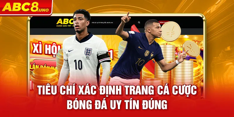 tieu-chi-xac-dinh-trang-ca-cuọc-bong-da-uy-tin-dung_8